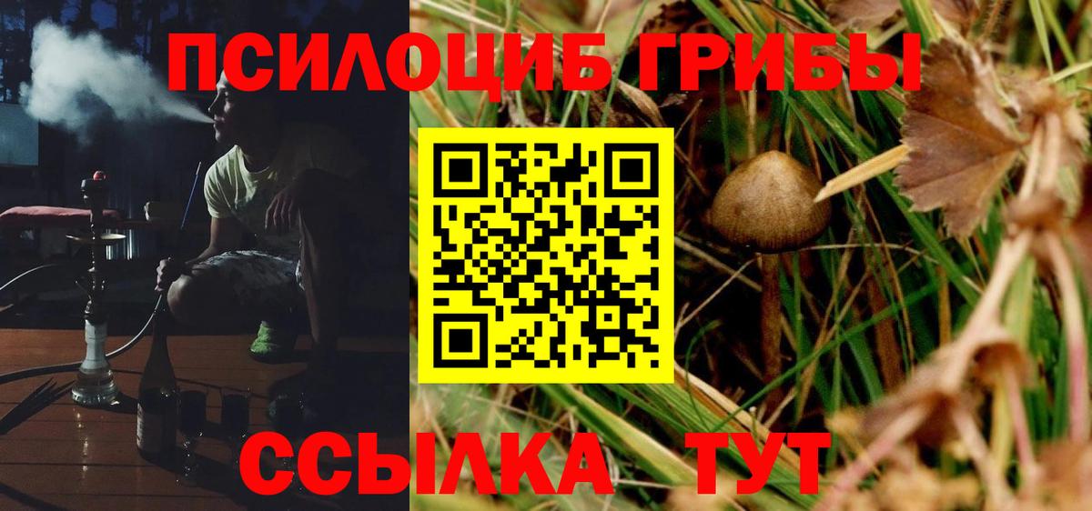 Ярцево  Псилоцибиновые грибы Psilocybine cubensis  Вход с VPN 